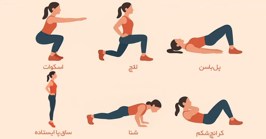 بهترین حرکات ورزشی در برنامه چربی سوزی و لاغری و عضله سازی مبتدی