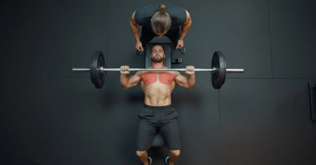 برنامه تمرینی سینه