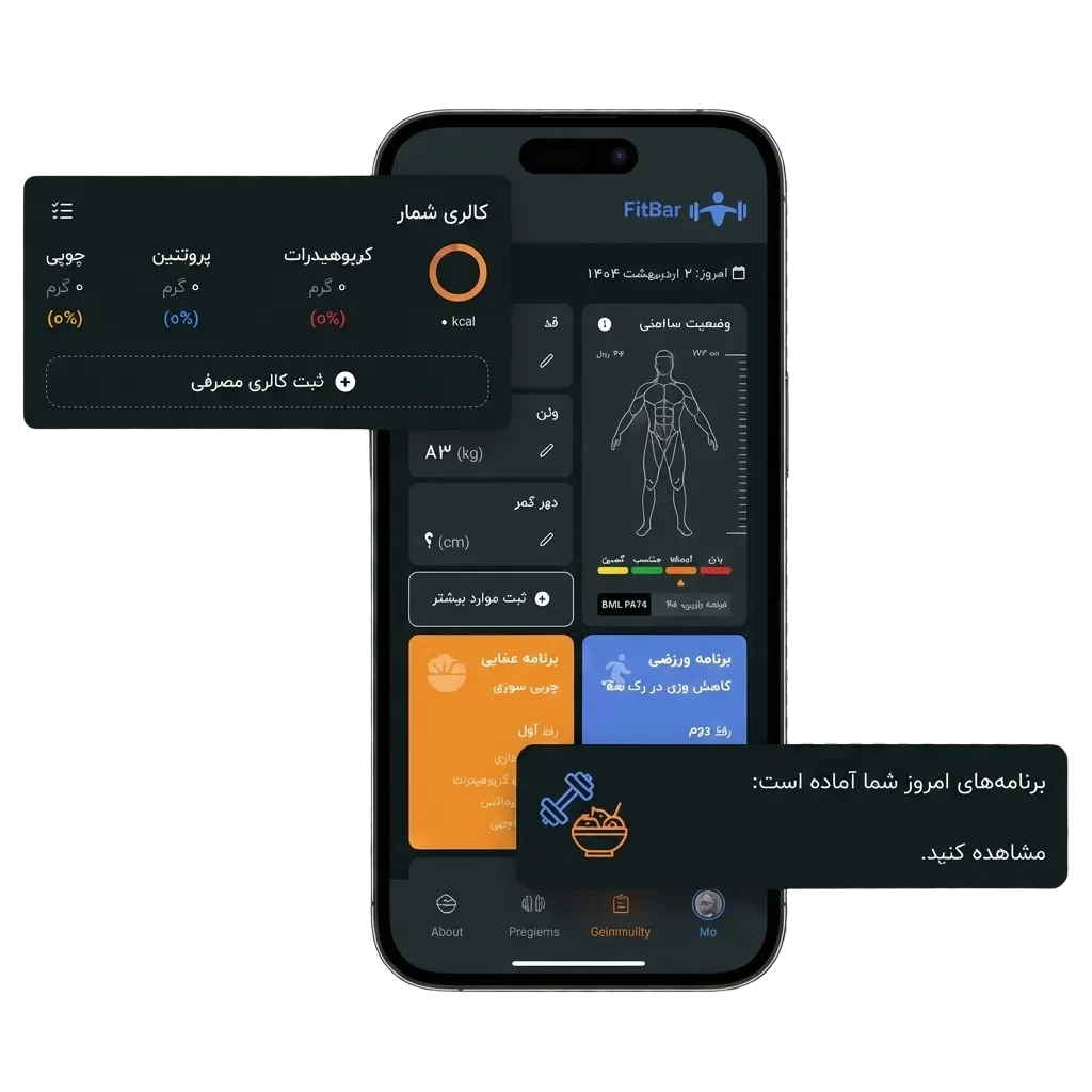 تمرین، تغذیه بر اساس تحلیل | یک تجربه کامل